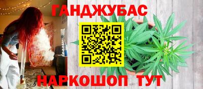 индика Ачхой-Мартан