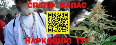 индика Ачхой-Мартан